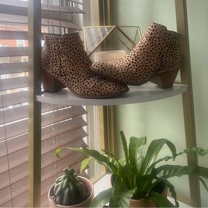 Maurice’s Leopard Print Boots👢🐆